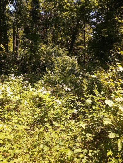 Huntington Park - Alexandria, VA