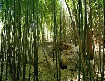 James Mulligan Park - Alexandria, VA
