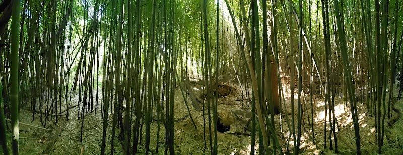 James Mulligan Park - Alexandria, VA