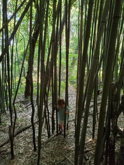 James Mulligan Park - Alexandria, VA