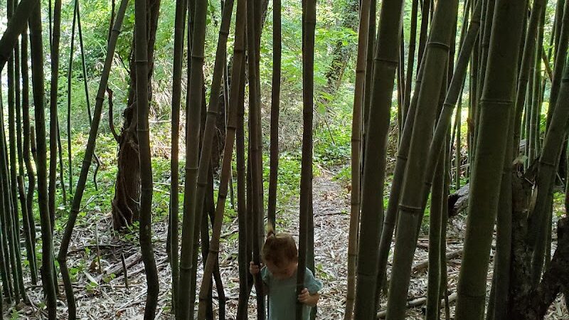 James Mulligan Park - Alexandria, VA