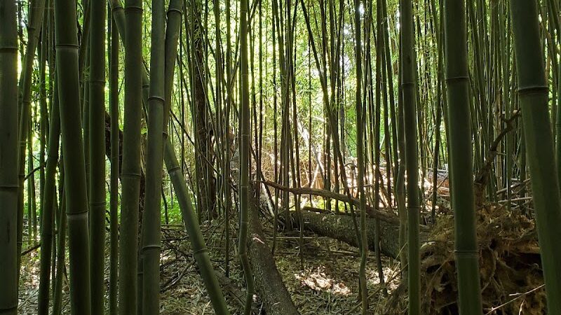 James Mulligan Park - Alexandria, VA