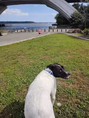 Jones Point Park - Alexandria, VA