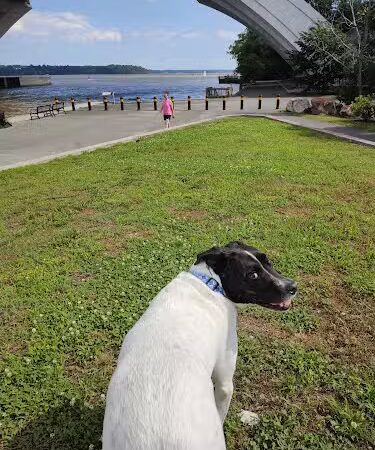 Jones Point Park - Alexandria, VA
