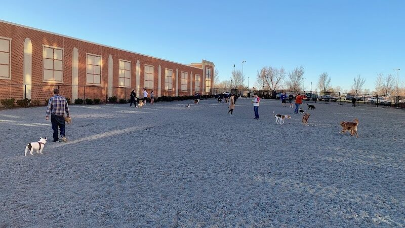 Monroe Ave Dog Park - Alexandria, VA