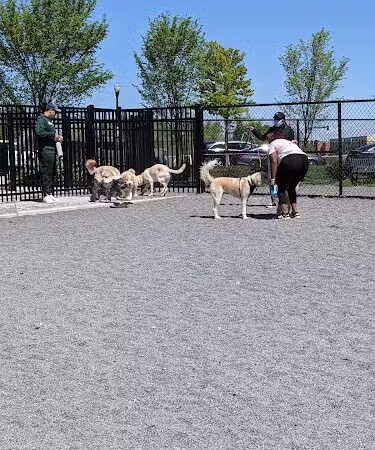 Monroe Ave Dog Park - Alexandria, VA