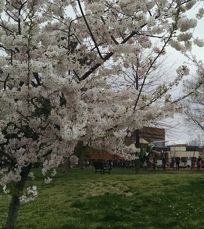Montgomery Park - Alexandria, VA