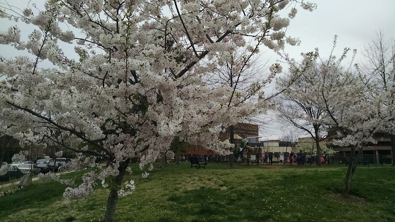 Montgomery Park - Alexandria, VA