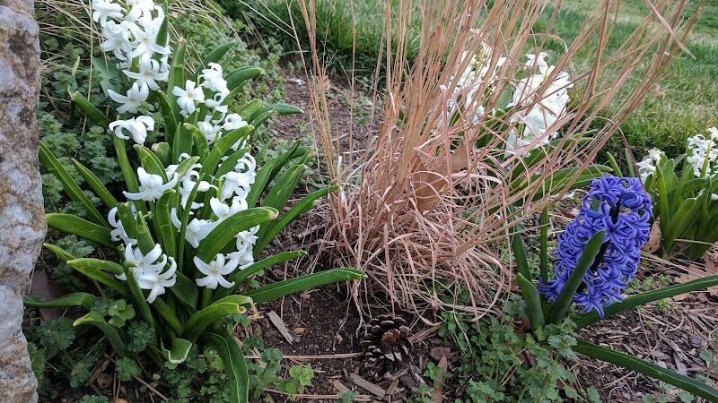 Montgomery Park - Alexandria, VA