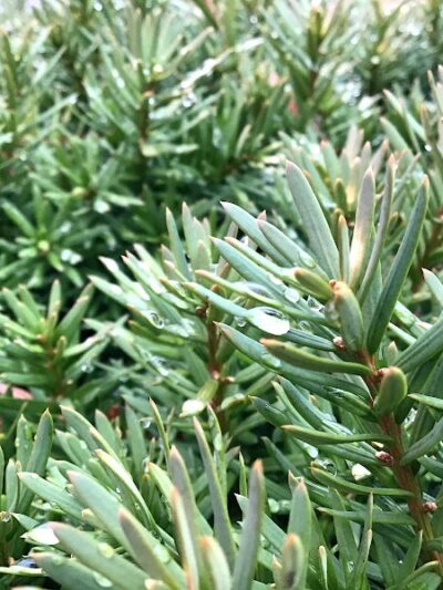 Montgomery Park - Alexandria, VA