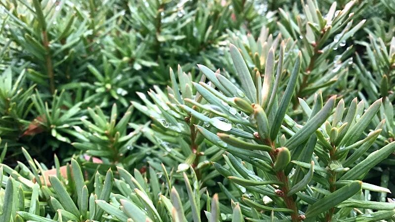 Montgomery Park - Alexandria, VA