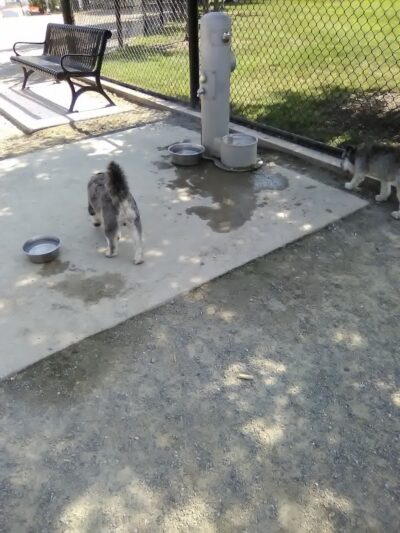 Montgomery Park - Alexandria, VA