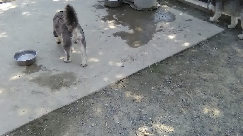 Montgomery Park - Alexandria, VA