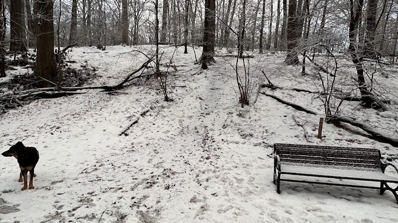 Monticello Park - Alexandria, VA