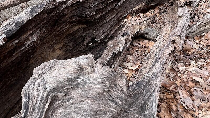 Monticello Park - Alexandria, VA