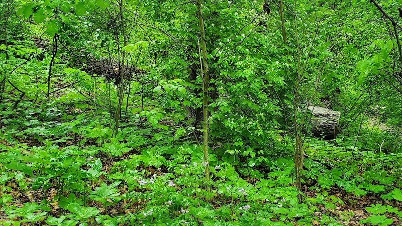 Monticello Park - Alexandria, VA