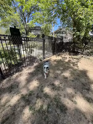 Mount Jefferson Dog Park - Alexandria, VA