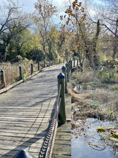 Mount Vernon Trail - Alexandria, VA