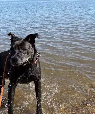 Mount Vernon Trail - Alexandria, VA