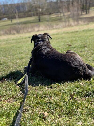 Olander and Margaret Banks Neighborhood Park - Alexandria, VA
