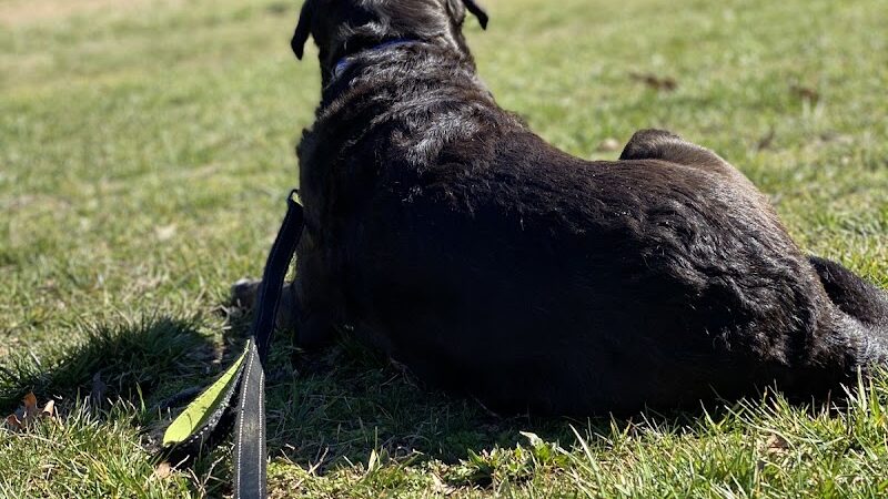 Olander and Margaret Banks Neighborhood Park - Alexandria, VA