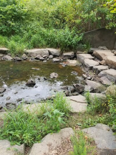 Olander and Margaret Banks Neighborhood Park - Alexandria, VA