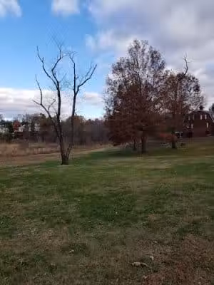 Olander and Margaret Banks Neighborhood Park - Alexandria, VA