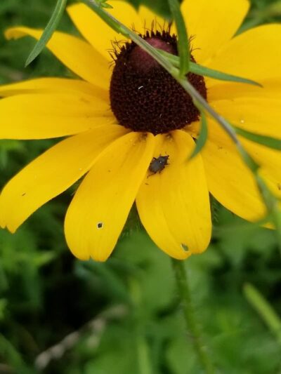 Olander and Margaret Banks Neighborhood Park - Alexandria, VA