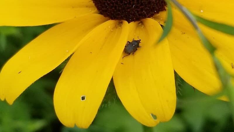 Olander and Margaret Banks Neighborhood Park - Alexandria, VA