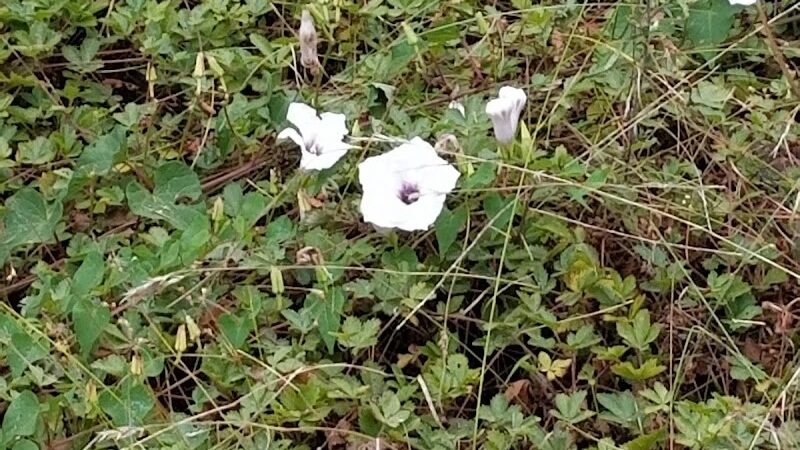 Olander and Margaret Banks Neighborhood Park - Alexandria, VA
