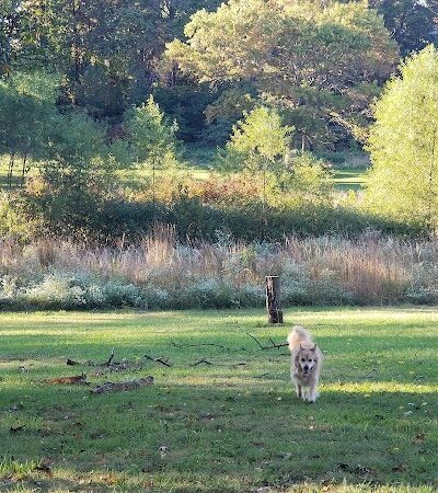 Olander and Margaret Banks Neighborhood Park - Alexandria, VA