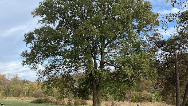 Olander and Margaret Banks Neighborhood Park - Alexandria, VA