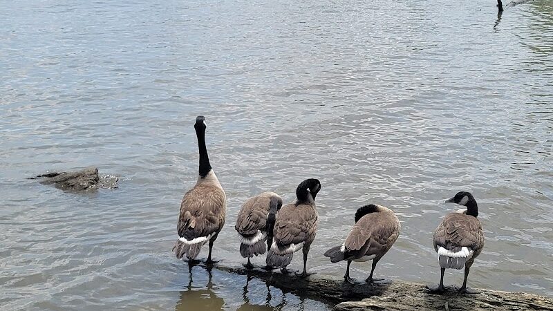 Oronoco Bay Park - Alexandria, VA