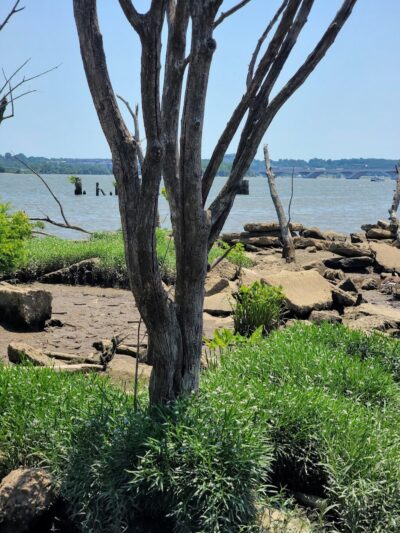 Oronoco Bay Park - Alexandria, VA
