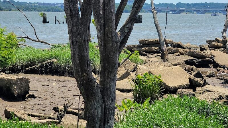 Oronoco Bay Park - Alexandria, VA