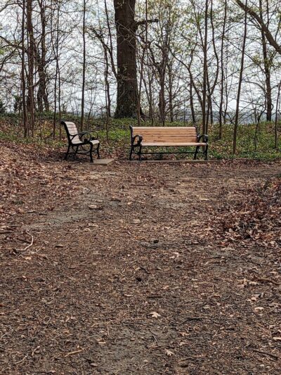 Polk Park - Alexandria, VA