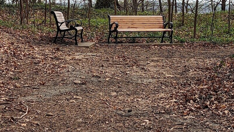 Polk Park - Alexandria, VA