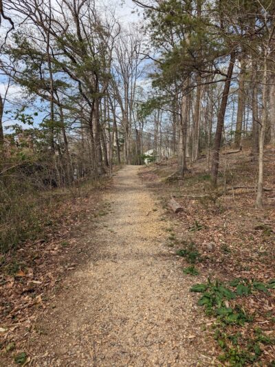 Polk Park - Alexandria, VA