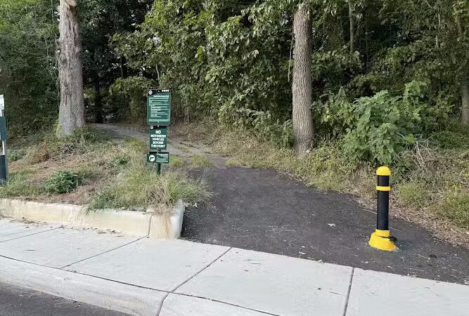 Polk Park - Alexandria, VA