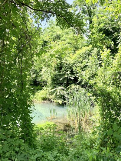 Potomac Greens Park - Alexandria, VA