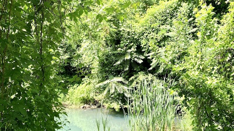 Potomac Greens Park - Alexandria, VA