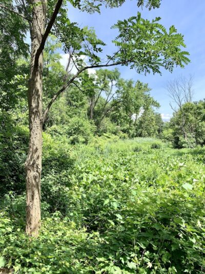 Potomac Greens Park - Alexandria, VA