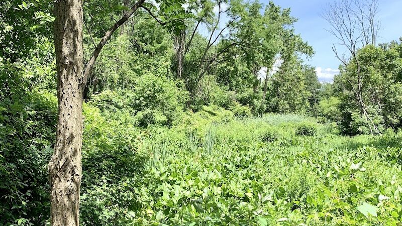 Potomac Greens Park - Alexandria, VA