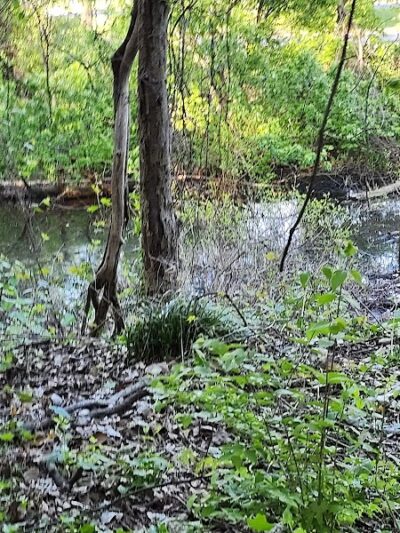 Potomac Greens Park - Alexandria, VA