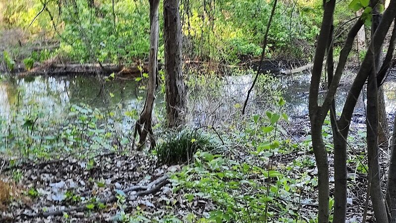 Potomac Greens Park - Alexandria, VA