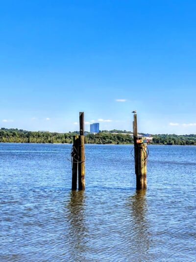 Roberdeau Park - Alexandria, VA