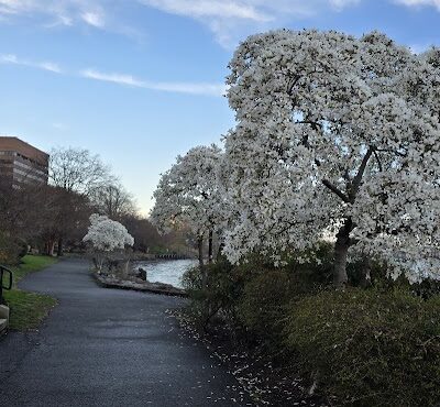 Tide Lock Park - Alexandria, VA