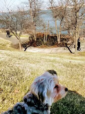 Tide Lock Park - Alexandria, VA