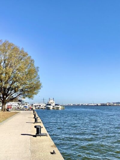 Waterfront Park - Alexandria, VA