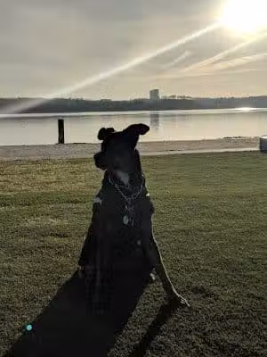 Waterfront Park - Alexandria, VA